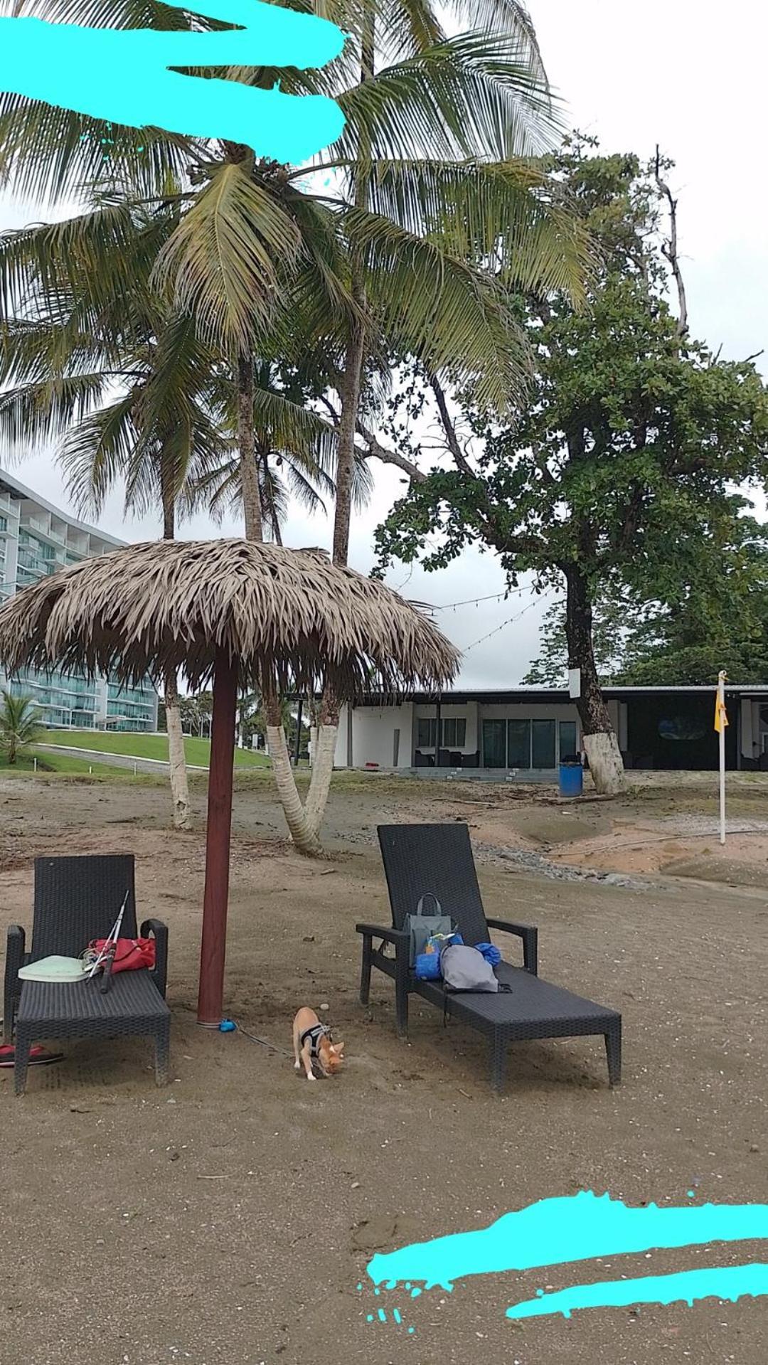 Apartamento En Balabeach Maria Chiquita In Front Of The Beach 2Hab Колон Номер фото