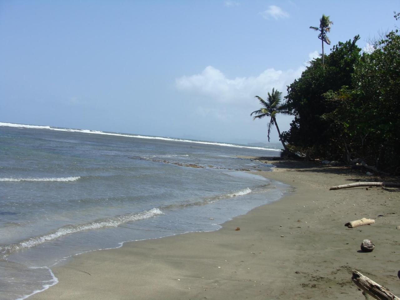 Apartamento En Balabeach Maria Chiquita In Front Of The Beach 2Hab Колон Экстерьер фото